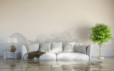 Cúanto cuesta las reparaciones  por daños causados por el agua